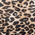 Tan Leopard