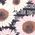 Floral Print