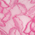 Fuschia Floral