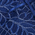 Navy Leaves